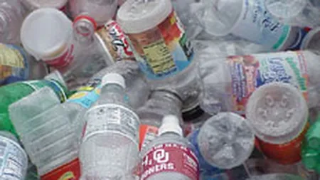 PET-urile de bere si suc se pot transforma in business de 2,5 mil. euro