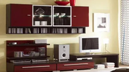 Vanzarile Mobexpert au urcat cu 29% in primul semestru din 2007