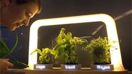 Philips urmareste dublarea profitului pana in 2010, ca urmare a reorganizarii grupului