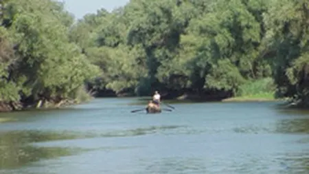 Delta are nevoie pentru reconstructie de 36 mil. euro pana in 2013