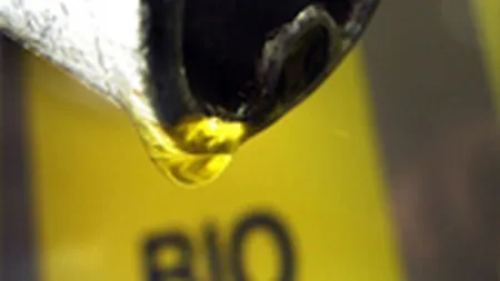 OMV investeste 180 mil. euro in productia de biodiesel
