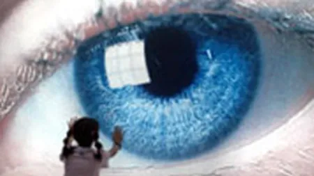 Investitiile in publicitate vor creste la nivel global cu 5,6% in 2008