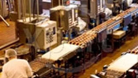 KPMG: Companiile straine, multumite de mediul economic din Romania