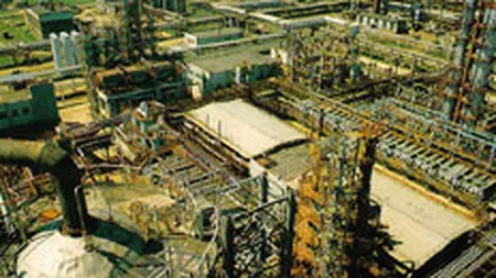 Rompetrol Petrochemicals estimeaza afaceri de 420 mil. $ in 2008