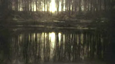 Cea mai scumpa fotografie din lume valoreaza 2 mil. euro