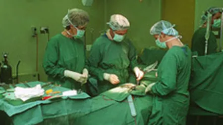 Romanii care lucreaza in strainatate sunt de 10 ori mai bine platiti ca in tara