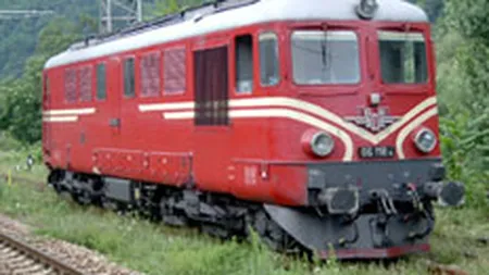 Al-Arrab a realizat o infuzie de capital de 35 mil. euro la Electroputere