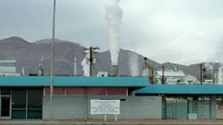 AVAS scoate la vanzare active Azochim Savinesti, pornind de la 2 mil. euro