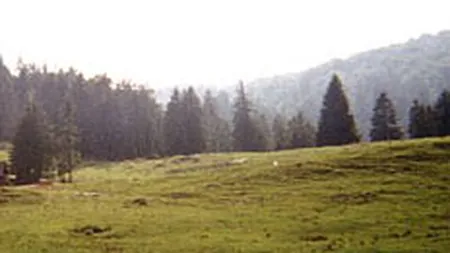 Statiune eco-turistica in Muntii Apuseni cu buget de 50 mil. euro