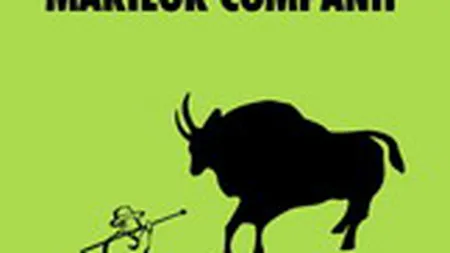 Cum sa vinzi marilor companii