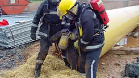 Investitorii mari au subscris cu 26% mai multe actiuni Transgaz pana miercuri