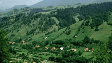 Tichetele de turism ar putea creste industria cu 5-8% in primul an