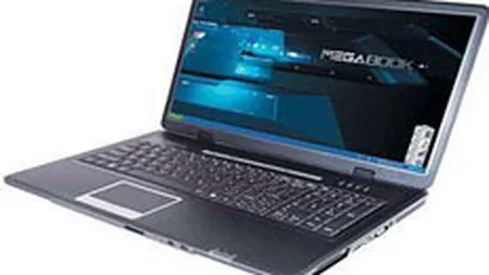 Crestere de 6 ori pentru magazinul online IT&C Electronic World, in 2008