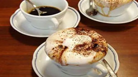 Venituri de 1 milion de euro pentru Cafepedia, in 2008