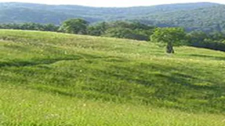 Antreprenorul francez Vinci este interesat sa investeasca in zona Padis