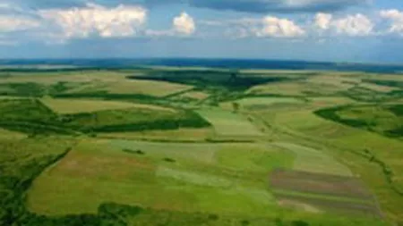 Compania Prochoise a cumparat un teren in Romania, cu 1,3 mil. euro