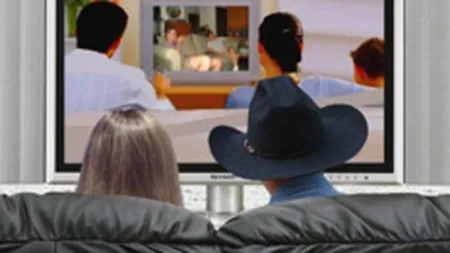 Publicitatea in media pe plan global a urcat cu 2,4% in 2007