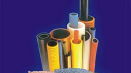 Fondul cipriot RC2 a depasit pragul de 5% in actionariatul Prodplast