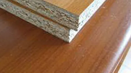 Austriecii de la Egger au deschis o fabrica de material lemnos la Radauti