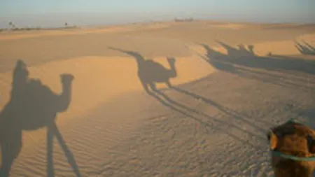 Tunisiana Travel estimeaza afaceri de 4,8 mil. euro din excursii in Tunisia, in 2008