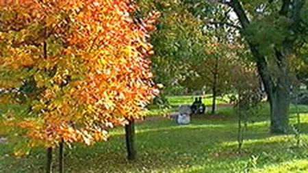 Proiect rezidential de 1,2 mil. euro langa Parcul Bazilescu din Capitala