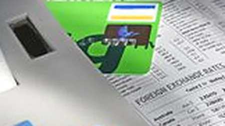 Inflatia mananca din economiile in lei plasate in banci