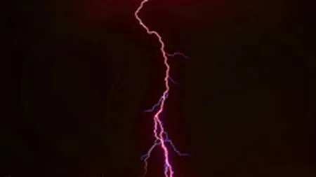 Bursa isi reduce pierderile pana la 5% la finele sedintei de marti