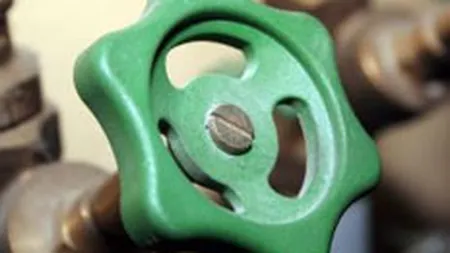 Mecanica Rotes vrea sa-si majoreze capitalul social cu 22,5%, la 13,6 mil.euro