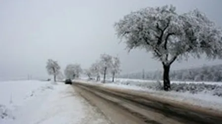 Interesul investitorilor scumpeste terenurile din estul si sudul Capitalei