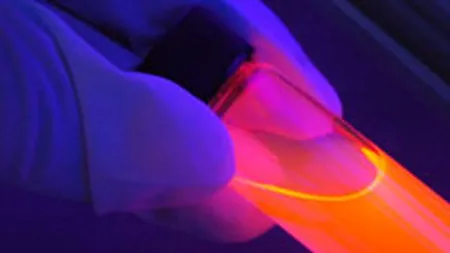 Inchiderea Arpechim a contribuit la pierderile Oltchim de 23 mil. euro in 2007