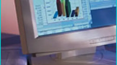 Afaceri de peste 175 mil. dolari pentru Tornado Sistems in anul fiscal 2007