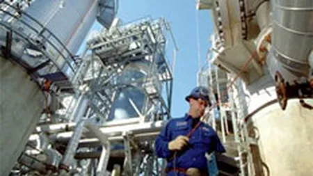 Rafo va procesa titei pentru Petrochemical Trading in urmatorii trei ani