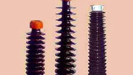 Electroceramica va livra produse de 2 mil. euro actionarului sau majoritar