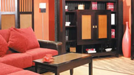 Mobexpert mizeaza pe afaceri de 185 mil. euro in 2008, in crestere cu 10%