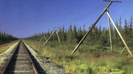 Electrica vinde creante de la CFR de 1,7 mil. euro prin Bursa de Marfuri