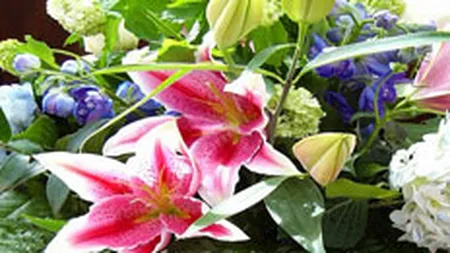 Reteaua de magazine online Gravity Design lanseaza doua noi proiecte