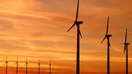 Compania spaniola Iberdrola va produce energie eoliana in Dobrogea