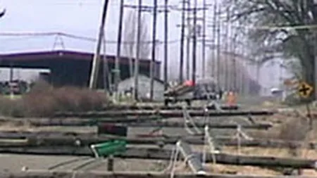 Profitul Transelectrica a scazut de 5,5 ori in 2007, la 13,8 mil. euro