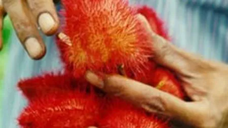 Bursa inchide saptamana pe rosu si lichiditate in scadere