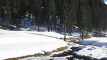 Proiectul Padis-Lazuri,  respins de Consiliul Stiintific al Parcului Apuseni