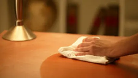 Portalul curatenie.ro a fost lansat cu o investitie de 20.000 euro