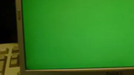 Bursa recupereaza din pierderi si inchide sedinta de miercuri pe verde