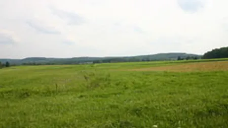 Licitatie internationala pentru cel mai mare parc tehnologic din Transilvania