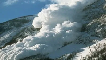 Avalansa de tranzactii speciale in debutul sedintei bursiere de vineri