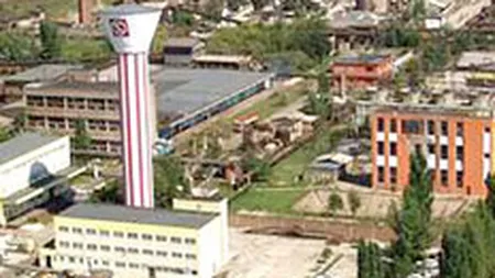 Profitul Sinteza Oradea a scazut de peste 12 ori anul trecut