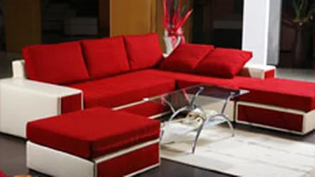 Staer a realizat in 2007 afaceri de 30,5 mil. euro, in crestere cu 30%