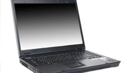 Flamingo International a vandut aproximativ 43.000 de computere in T4