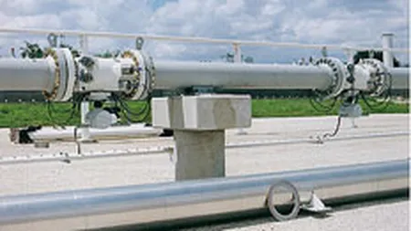 Transgaz mizeaza pe un profit de 270 mil. lei anul acesta, in crestere cu 20%