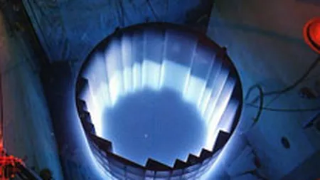 Compania care va construi reactoarele 3 si 4 ar putea fi inregistrata in mai