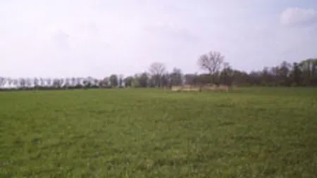 Comuna Fundulea atrage dezvoltatorii de spatii industriale